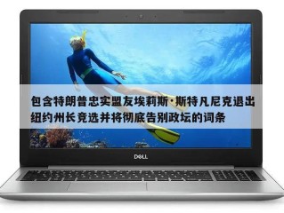 包含特朗普忠实盟友埃莉斯·斯特凡尼克退出纽约州长竞选并将彻底告别政坛的词条