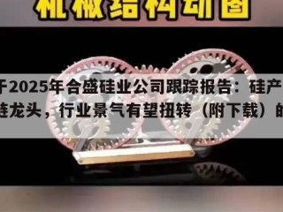 关于2025年合盛硅业公司跟踪报告：硅产业链龙头，行业景气有望扭转（附下载）的信息