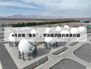 4月首缕“春风”，吹到医药股的简单介绍