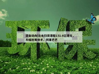 资金动向|北水扫货港股131.6亿港元，大幅抢筹快手、阿里巴巴